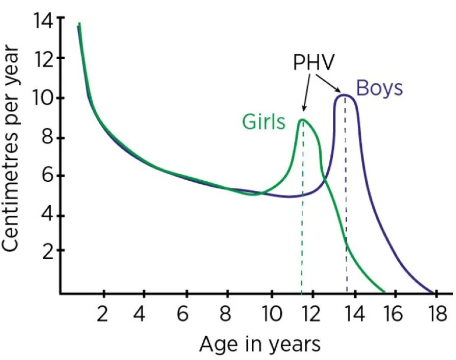 phv 800px