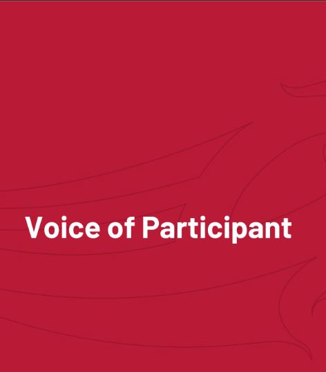 Voice of the Participant